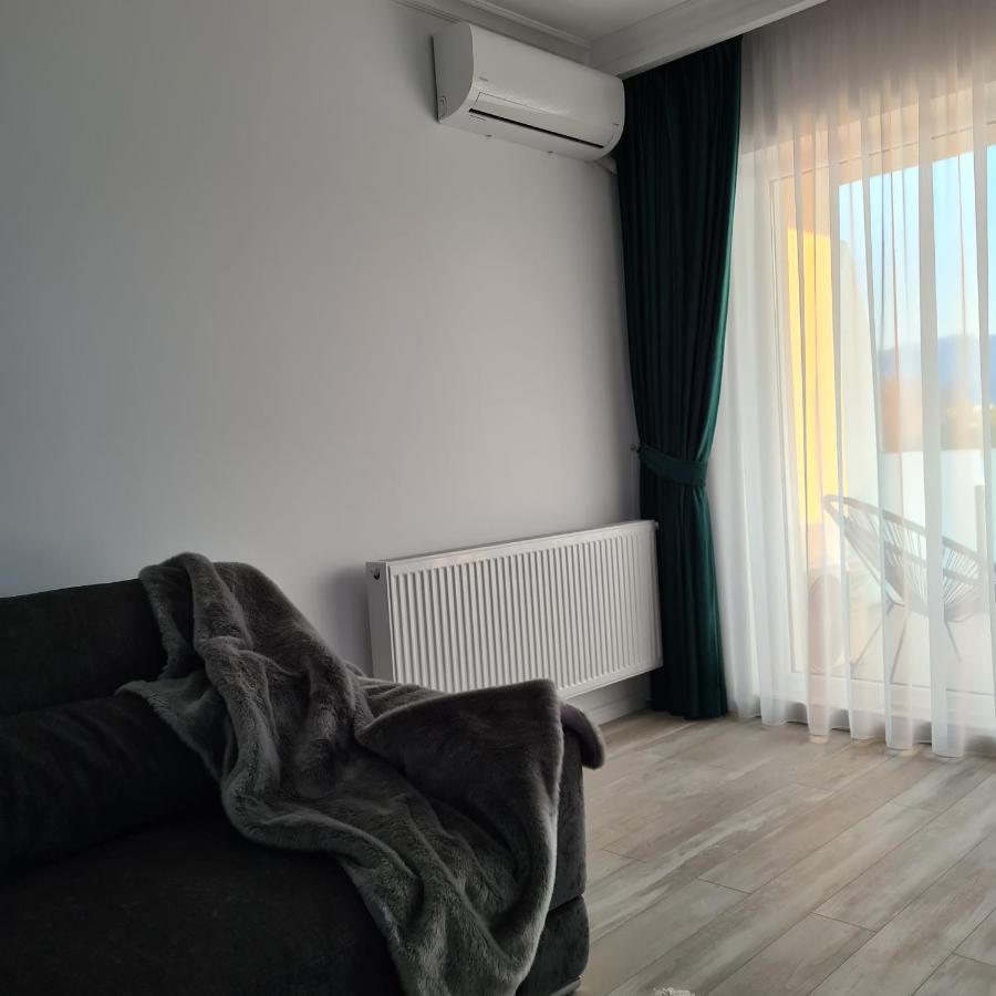 Panoramic Apartment Braşov Buitenkant foto